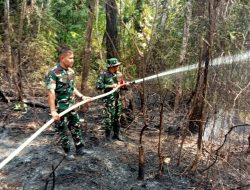 Berjibaku Lawan Api, Damkar Kodim 0416/Bute Padamkan Karhutla di Desa Sungai Bulu