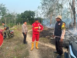 Polisi dan Manggala Agni Jibaku Padamkan Karhutla di Kebun Karet Teluk Beringin